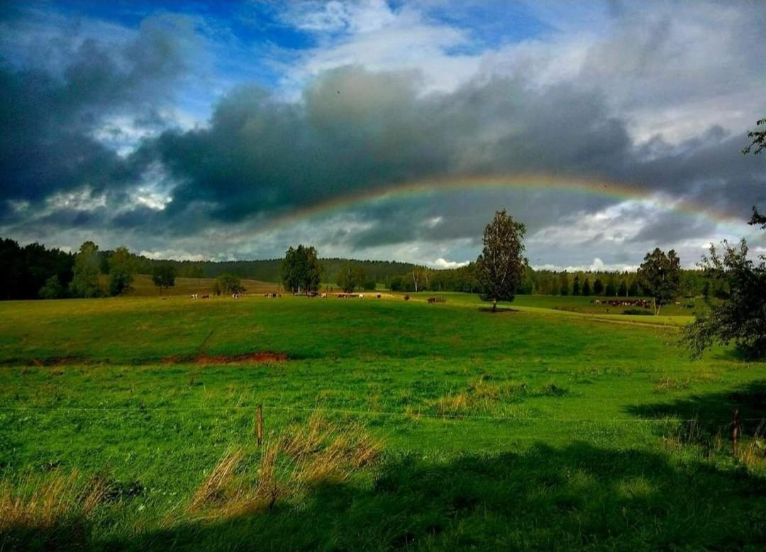 Guesthouse, Sauna & Jacuzzi In Gauja Valley - Kakukalns Straupe Exteriér fotografie