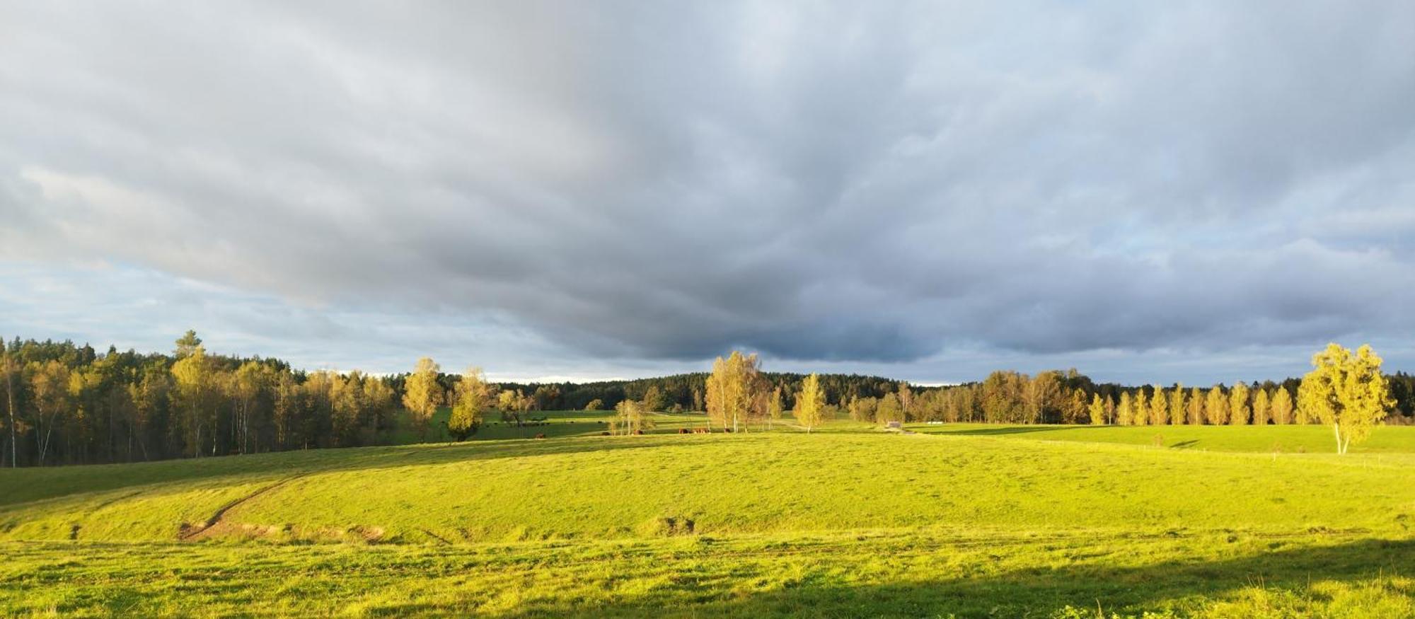 Guesthouse, Sauna & Jacuzzi In Gauja Valley - Kakukalns Straupe Exteriér fotografie